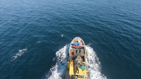Fischerboot-Segelt-Mit-Der-Gruppe-Wunderschöner-Dunkler-Delfine,-Die-Zusammen-Im-Golf-Von-San-Jose-Schwimmen