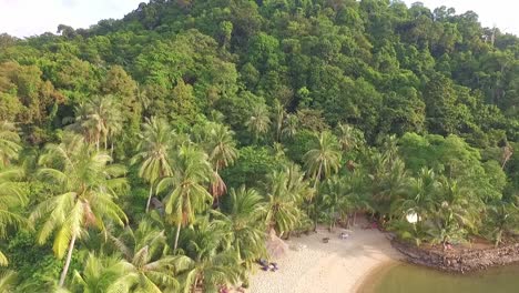 Drohnenaufnahme-Eines-Kleinen-Tropischen-Strandes-Mit-Palmen-Und-Dschungel