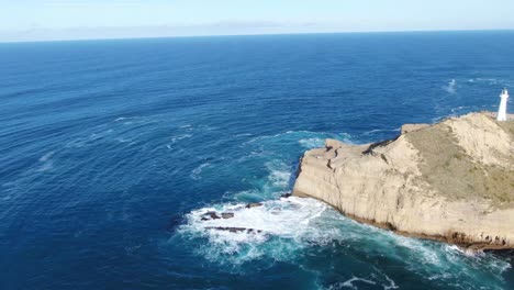 Fascinante-Profundidades-Del-Océano-Pacífico-Sur-Castlepoint-Island-En-Nueva-Zelanda