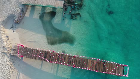 Top-Down-Aerial-View-of-Dock-on-Tropical-Sea,-Stingray-Swimming-by-Flock-of-Fish