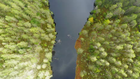 Drohnen-Luftbild-Aus-Der-Vogelperspektive-Auf-Einen-Ruhigen-Fluss-Im-Nebligen-Borealen-Wald