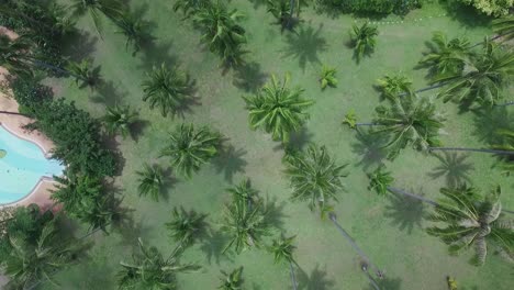Luftaufnahme-Von-Oben-über-Koh-Chang,-Thailand,-Luxuriöses-Palmenresort-Und-Entspannender-Pool