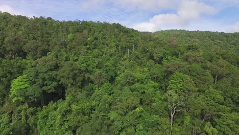 Lush-Koh-Chang-foliage-greenery-woodland-forest-wilderness-aerial-view