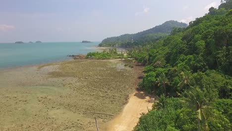Aerial-drone-shot-of-small-tropical-beach-with-mangrove-and-jungle