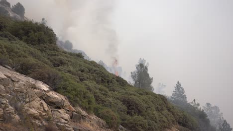 Waldbrände-Wüten-In-Kalifornien