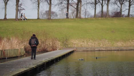 Traveler-walking-through-Edinburgh-lake,-green-meadow-at-the-background,-seagulls-flying,-static-shot