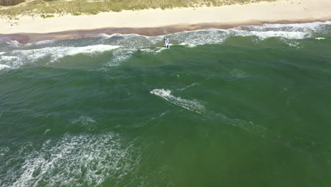 AERIAL:-Reveal-Shot-of-Surfer-and-Sandy-Beach-near-Green-Forest