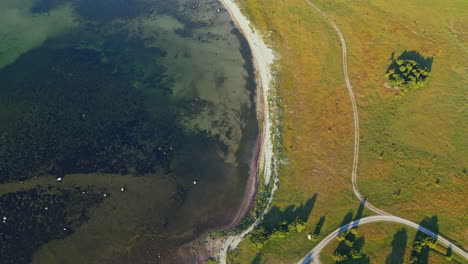 View-Of-Sandbybadet,-Öland-in-Sweden-Composed-Of-Green-Field-and-Transparent-Waters-During-Sunny-Day---Aerial-Shot