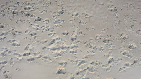AERIAL:-Ascending-Shot-of-Human-Footprints-in-the-Sand-on-a-Beach