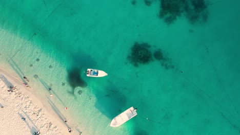 Luftaufnahme-Von-Oben-Nach-Unten-Von-Booten-Und-Stachelrochen-Im-Türkisfarbenen-Wasser,-Insel-Fulidhoo,-Malediven