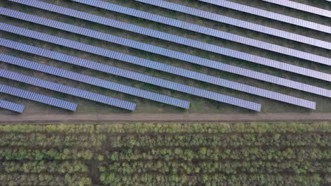 Luftbild-Von-Oben-Auf-Solarzellen-Farm-Solarzelle-Mit-Sonnenlicht-Drohnenflug-über-Sonnenkollektoren-Feld-Erneuerbares-Grünes-Alternatives-Energiekonzept
