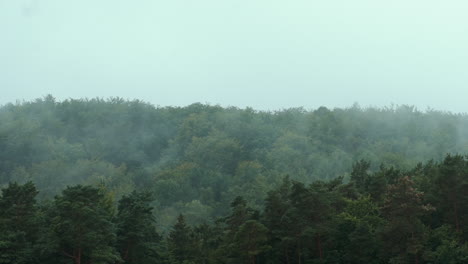 Nubes-De-Niebla-Sobre-El-Paisaje-Del-Bosque-Verde-De-Polonia---Lapso-De-Tiempo