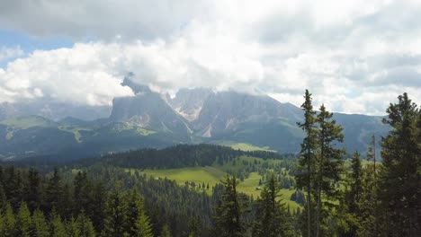 Fly-through-pine-tree-forest,-with-big-mountains-on-the-backdrop,-Alpe-di-Siusi,-Sudtirol,-Italy