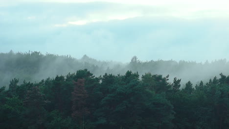 Evening-Mist-blows-over-the-tops-of-the-Green-Forest-Trees-on-an-Overcast-Cloudy-Day,-Nature-Sped-Up,-Timelapse