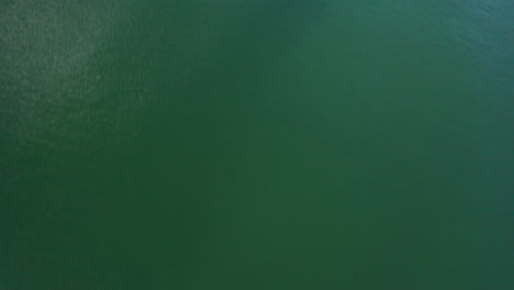 AERIAL:-Top-View-Shot-of-Green-Baltic-Sea-Revealing-Seashore