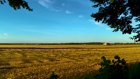 Landmaschinen-Arbeiten-Während-Der-Ernte-Auf-Dem-Feld,-Riesiges-Getreidefeld