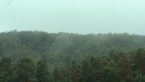 Nebel-Weht-über-Die-Wunderschönen-Grünen-Baumwipfel-Des-Waldes,-Zeitraffer-Beschleunigt