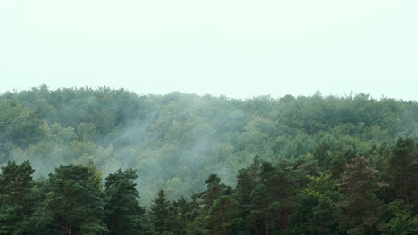 Langsame-Nebelwolken-Des-Verdunstenden-Waldes-An-Unserem-Eigenen-Ort-über-Den-Bäumen,-Wolkenwolken-Ziehen-über-Die-Bäume,-Zeitraffer-über-Dem-Wald