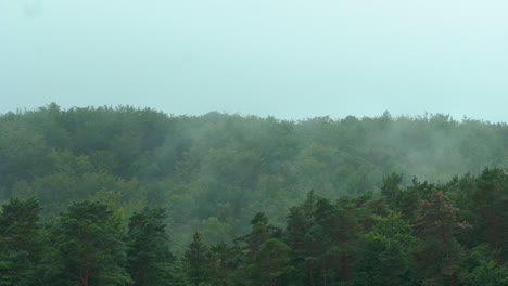 Nebel-Durch-Die-üppigen-Bäume-In-Einem-Bergwald-In-Polen-Bei-Tag---Zeitraffer