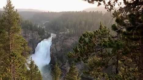 Waterfall-down-behind-trees,-during-golden-hour,-in-Yellowstone-national-park,-Wyoming,-USA---Static-view