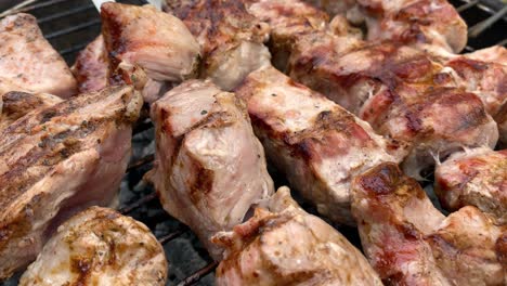 Marinated-meat-on-sticks-is-grilled