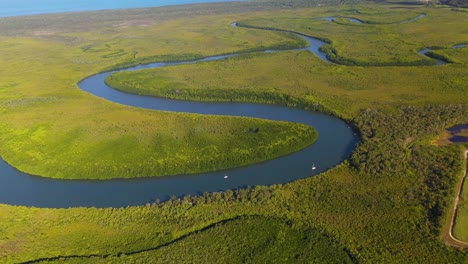 Daintree-River-delta-meandering-through-rainforest,-Queensland,-aerial-view