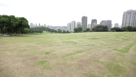 Ein-Rasen-Im-Zentralen-Park-Von-Chongqing