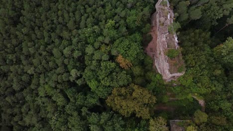 Aerial-Drone-shot-of-the-Castle-Ruin-Burg-Drachenfels-near-Busenberg-in-the-Palatinate-Forest,-Germany,-Birds-Eye-View