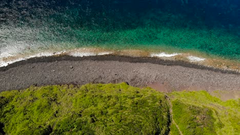 Right-moving-top-down-aerial-drone-view-of-rocky-beach,-green-forest-and-turquoise-ocean