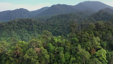 Aerial-pedestal-up-shot-of-beautiful-green-rainforest-in-Gunung-Leuser-National-Park,-the-Tropical-Rainforest-Heritage-of-Sumatra,-Indonesia
