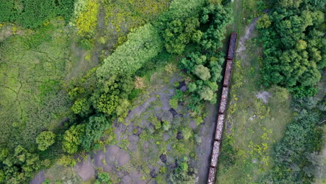 Drone-shot-flying-over-a-cargo-train-riding-the-track-through-nature