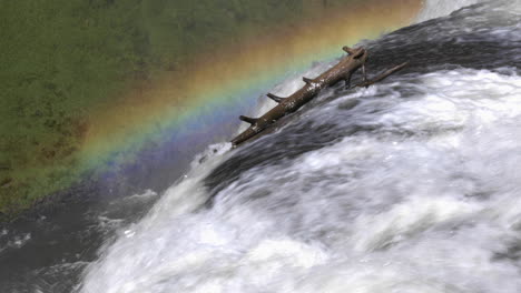 Still-shot-of-branch-hung-on-Upper-Mesa-Falls-waterfall-and-a-rainbow-over-it