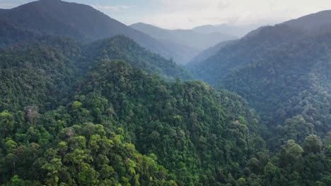 Vista-Aérea-Cinematográfica-Del-Hermoso-Paisaje-Selvático-En-El-Parque-Nacional-Gunung-Leuser,-El-Patrimonio-De-La-Selva-Tropical-De-Sumatra,-Indonesia