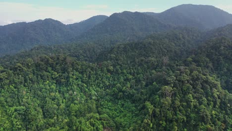 Vista-Aérea-De-La-Hermosa-Selva-Tropical-Verde-En-El-Parque-Nacional-Gunung-Leuser,-El-Patrimonio-De-La-Selva-Tropical-De-Sumatra,-Indonesia