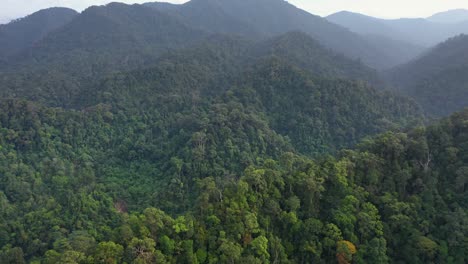 Aerial-shot-flying-backwards-tilting-slightly-down-above-ridge-in-the-rainforest-of-Gunung-Leuser-National-Park,-the-Tropical-Rainforest-Heritage-of-Sumatra,-Indonesia