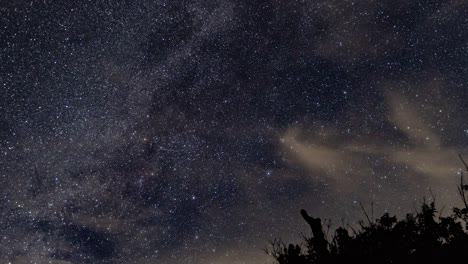 Milky-Way-and-star-time-lapse-with-moving-clouds,-airplanes-on-clear-night-until-dusk-with-small-tree-in-foreground