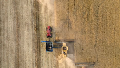 Four-Harvesters-With-Grain-Cart-Chaser-Bin-Combined-In-Action-On-A-Prairie-Landscape-During-Autumn