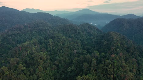Backwards-aerial-shot-of-rainforest-scenery-around-sunrise-in-Gunung-Leuser-National-Park,-the-Tropical-Rainforest-Heritage-of-Sumatra,-Indonesia