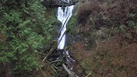 Wasserfall-Im-Grünen-Regenwald-Hd