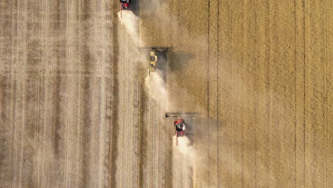 Combine-harvesters-mowing-canola-in-convoy,-aerial-drone-shot