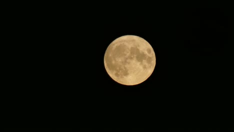 Orange-full-harvest-moon-crater-surface-closeup-passing-across-dark-sky