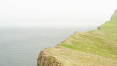 Island---Schöne-Hohe-Meeresklippen-In-Der-Nordwestfjordlandschaft---Luftdrohne