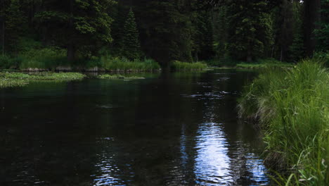 Still-shot-of-the-calm-Henrys-Fork-river-and-riverside-in-Big-Springs