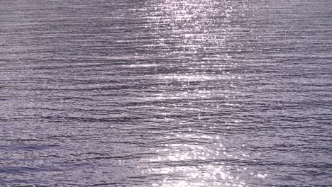 Sparkling-sun-reflections-on-ocean-surface-from-moving-boat