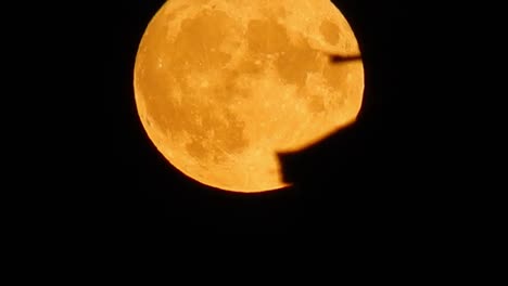Full-glowing-orange-harvest-moon-crater-surface-closeup-passing-rooftop-silhouette-skyline