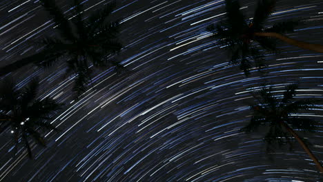 Palm-trees-silhouetted-and-lit-against-star-trail-timelapse-on-Isle-of-Pines