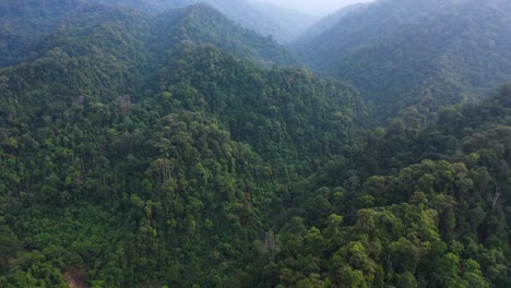 Cinematic-backwards-aerial-shot-of-green-rainforest-in-Gunung-Leuser-National-Park,-the-Tropical-Rainforest-Heritage-of-Sumatra,-Indonesia