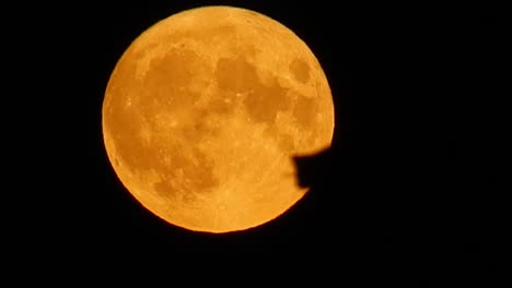 Volle-Orangefarbene-Ernte-Leuchtende-Mondkrateroberfläche,-Nahaufnahme,-Vorbei-An-Der-Skyline-Der-Silhouette-Auf-Dem-Dach