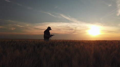 Silhouette-Of-An-Agronomist-Checking-On-Crops-During-Golden-Hour-Field-Landscape