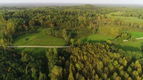 Herbstwald-Und-Grüne-Wiese